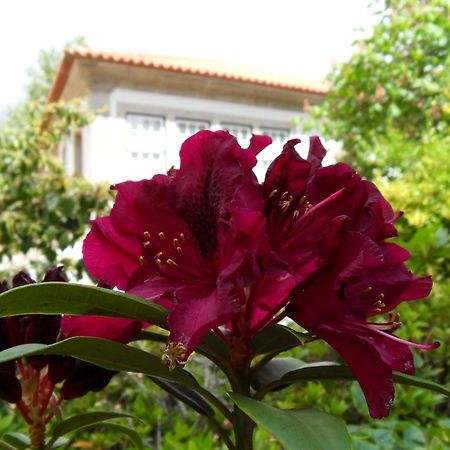 Quinta Do Bento Novo - Casa De Campo - Turismo Rural Viana do Castelo Exterior foto